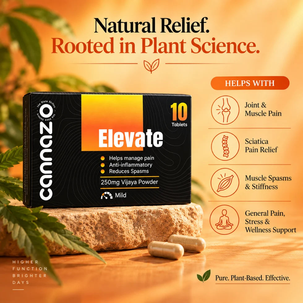 Cannazo India Elevate 500mg Pain Tablets – Natural Support for Mild to Moderate Pain, Joint Pain & Inflammation