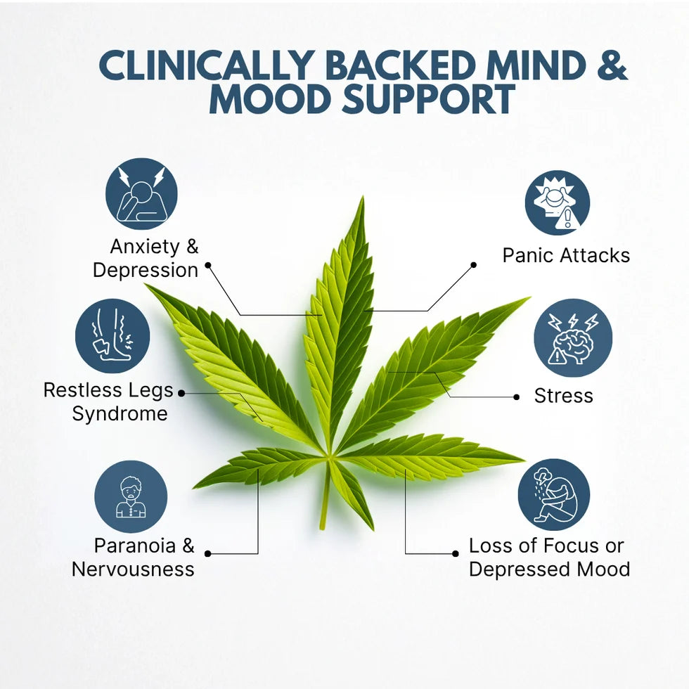 Cannazo India Calm Drops: cannabinoids-Dominant Cannabis Drops for Stress, Anxiety and Mood Support