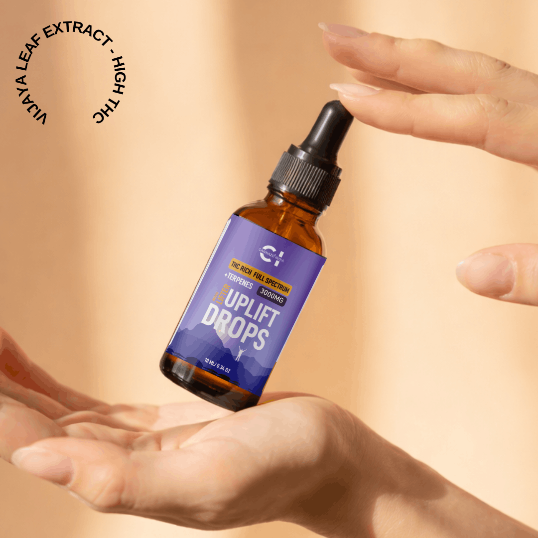 Cannazo India Uplift Drops – THC Dominant – Mood Lifters