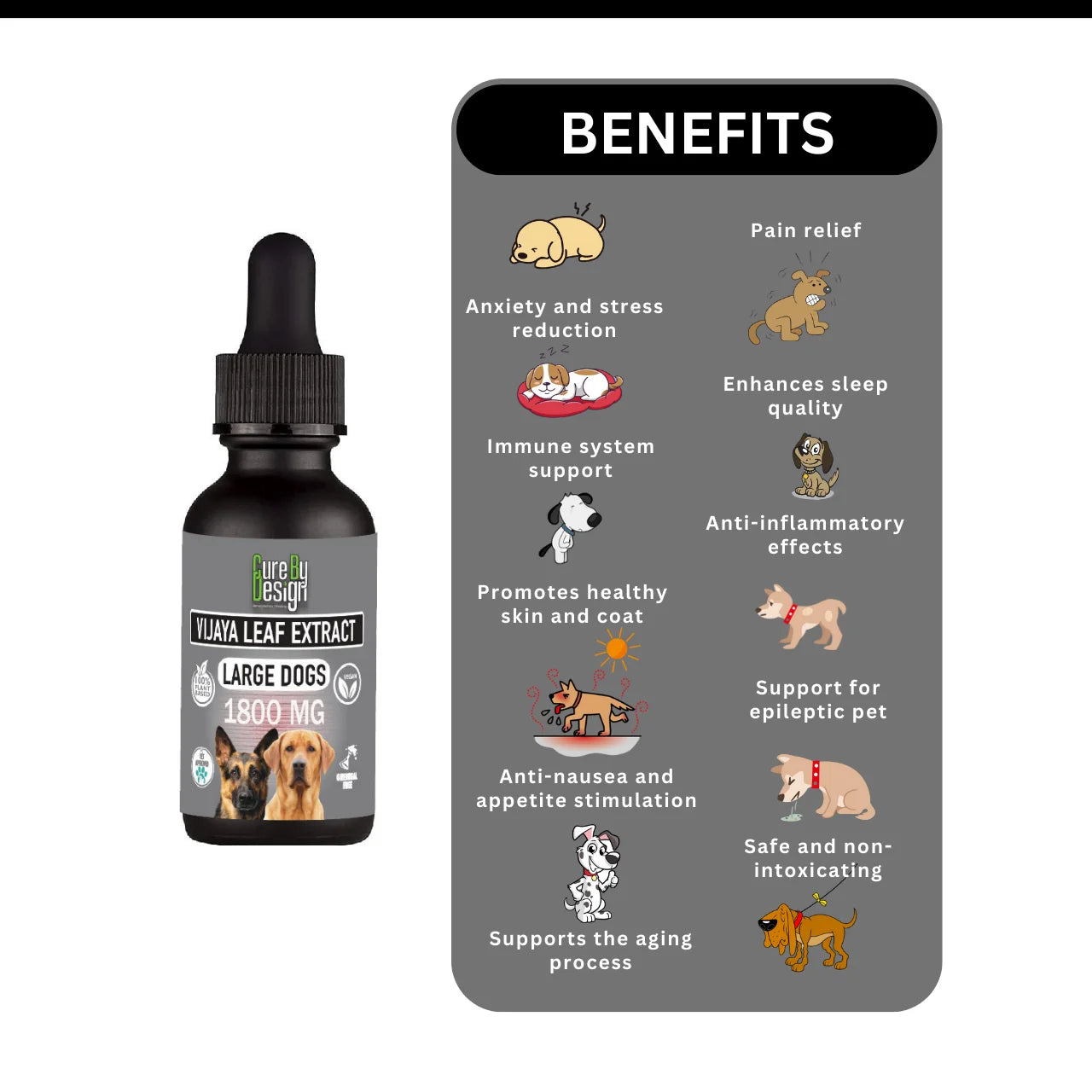 Cure By Design Vijaya For Large Dogs 1800mg Full Spectrum CBD