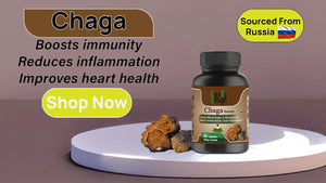 Order Cure By Design Chaga Mushroom Extract Today