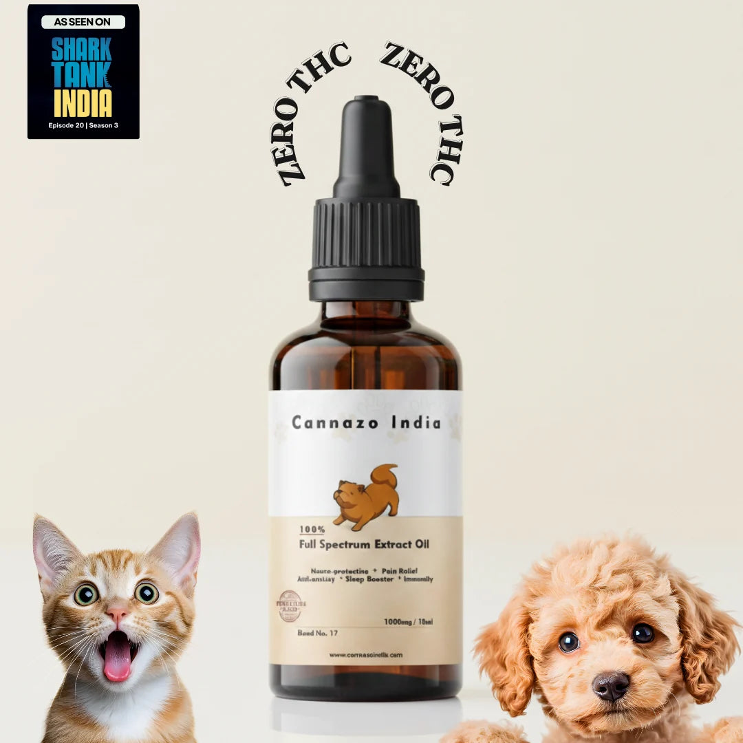 Cannazo India Pet cannabinoidsOil | cannabinoids Oil for Dogs and Cats | THC-Free | AYUSH-Approved