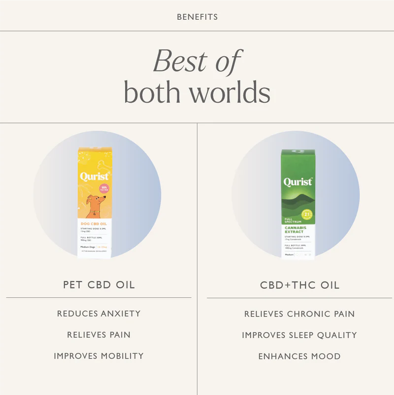 Qurist Dog and You Combo