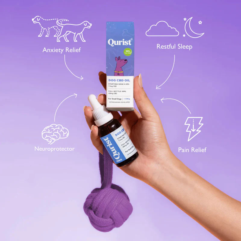 Qurist Dog CBD Oil