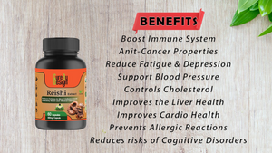 Buy Cure By Design Reishi Mushroom Extract
