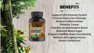 Get Cure By Design Chaga Mushroom Extract Online