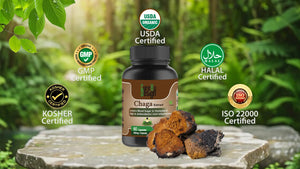 Get Now Cure By Design Chaga Mushroom Extract