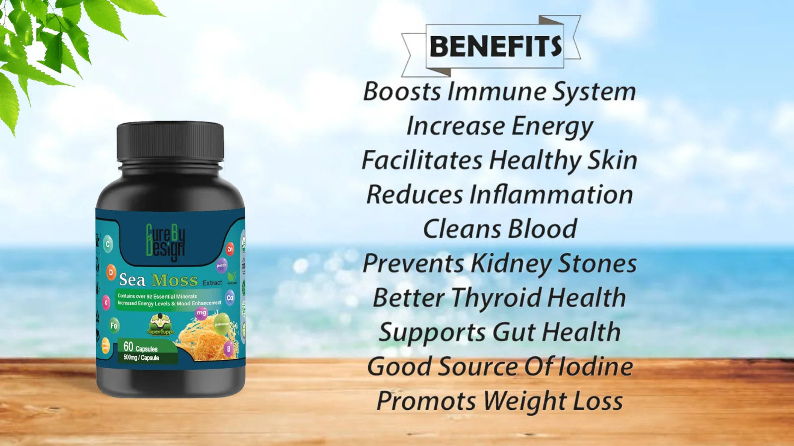 Cure By Design Seamoss Mushroom Extract