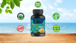 Order Now Cure By Design Seamoss Mushroom Extract