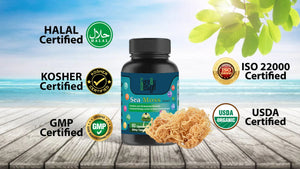 Get Cure By Design Seamoss Mushroom Extract