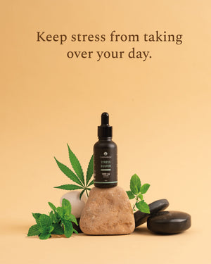 Shop Full-Spectrum CBD Oil Stress Buster CannaBliss 1000mg / 3000mg