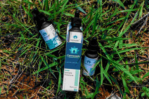 cannabis product india