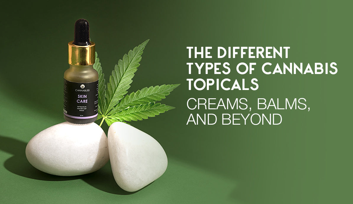 Different Types of Cannabis Topicals: Creams, Balms, and Beyond