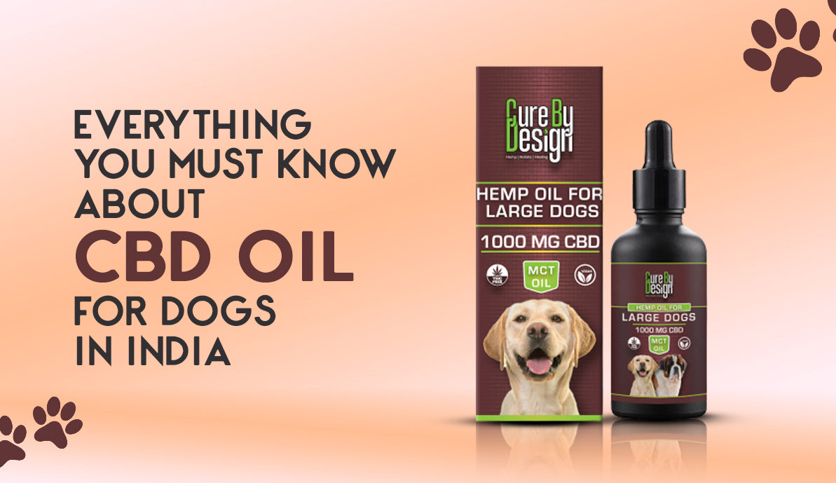 Everything You Must Know About CBD Oil for Dogs in India