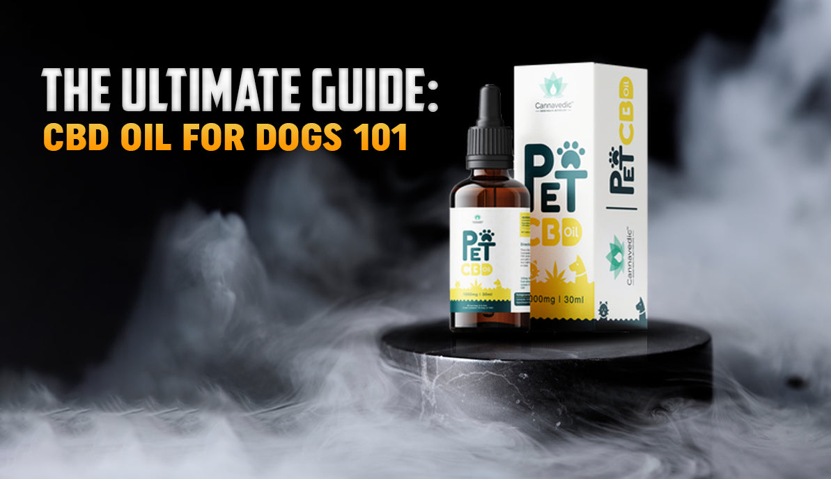 The Ultimate Guide: CBD Oil for Dogs 101