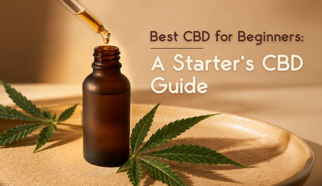 Best CBD for Beginners: A Starter's CBD Guide