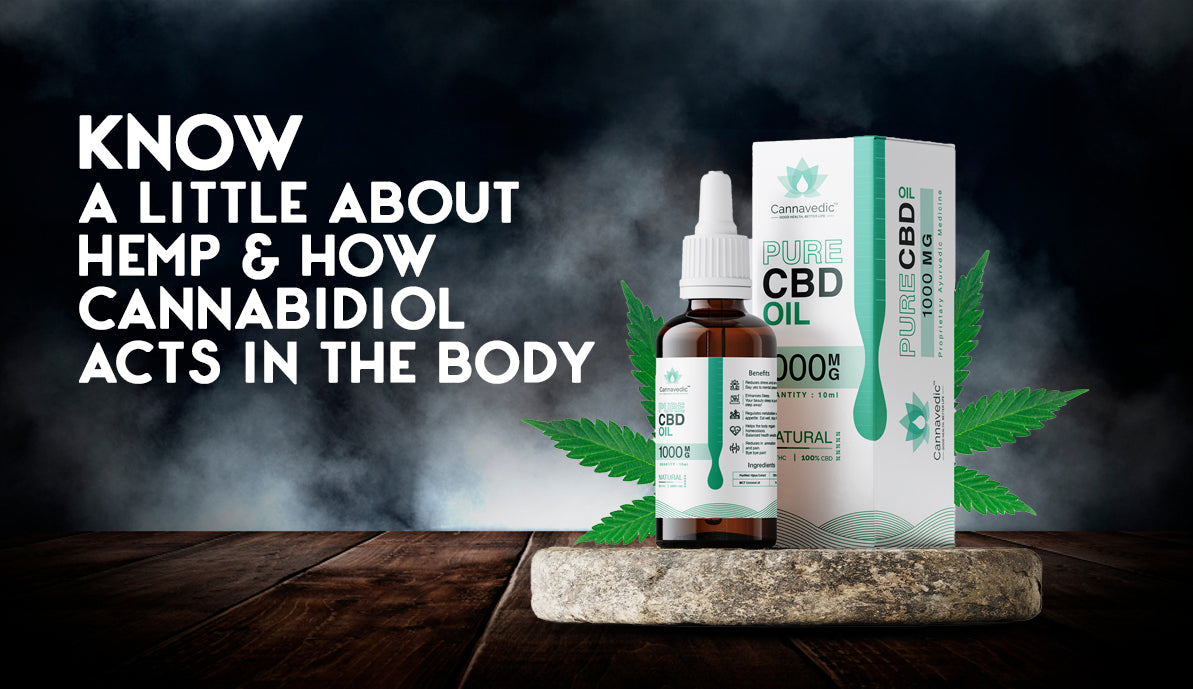 Know About Hemp and How Cannabidiol Acts in the Body