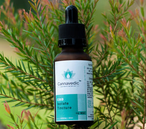 cbd oil is legal in india