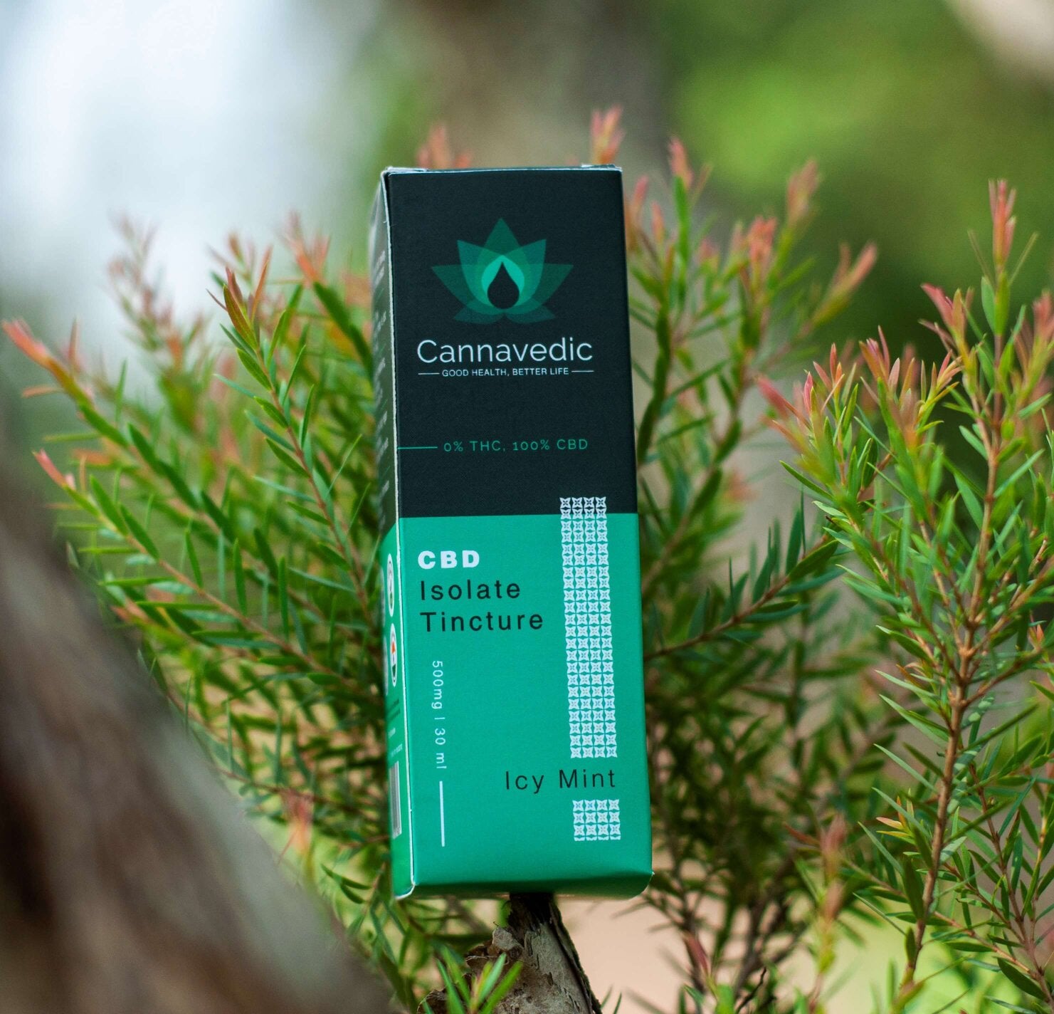 CBD Isolate Tincture