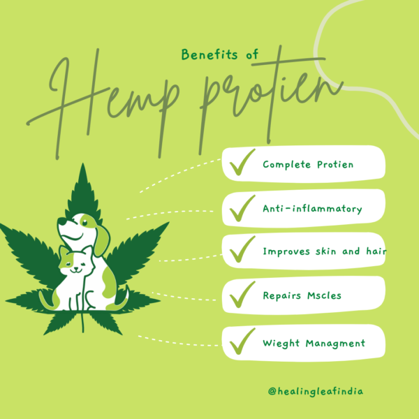 Hemp Protein Benefits